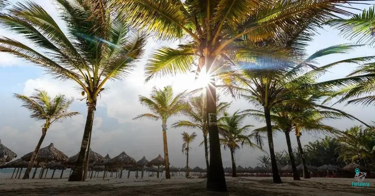 Parque do Cocó: Natureza e Lazer no Coração da Cidade