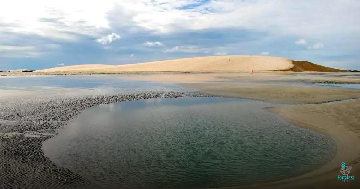 Peixada: O Fruto do Mar Nordestino